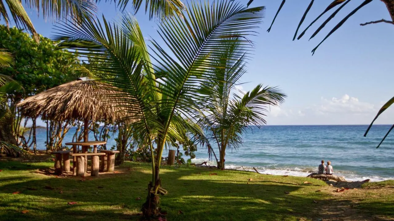 Natura Cabana Boutique Hotel & Spa By Mint Cabarete 3*,  Dominican Republic