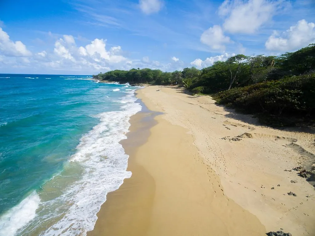 Natura Cabana Boutique Hotel & Spa By Mint Cabarete Dominikana