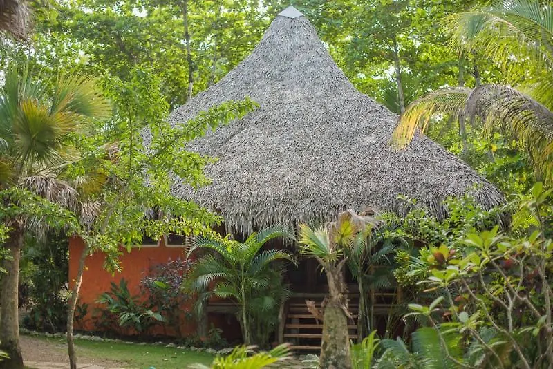 *** Hotel Natura Cabana Boutique Hotel&SPA by Mint Cabarete République dominicaine